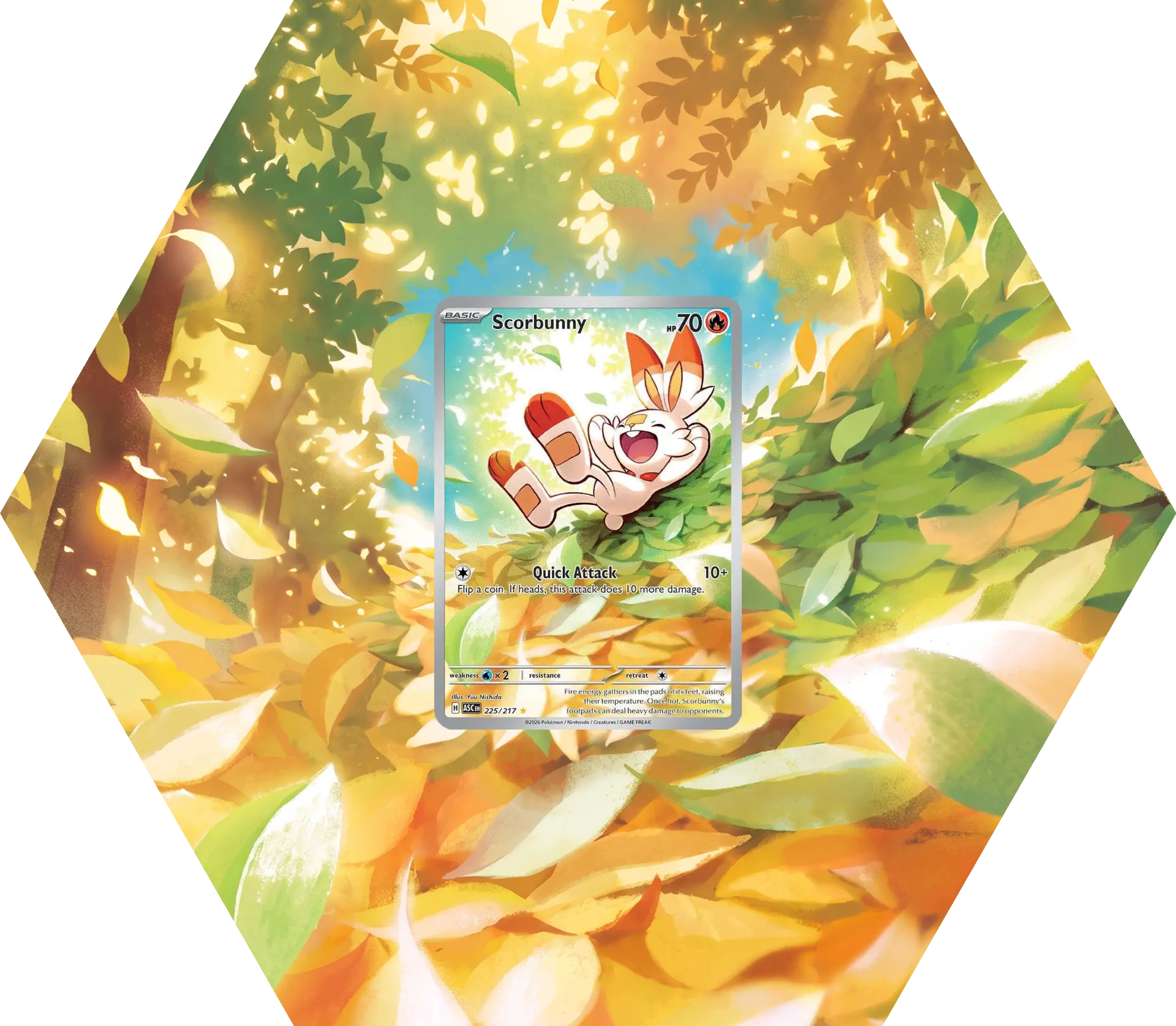 Grail Hexframe® — ASC Scorbunny IR